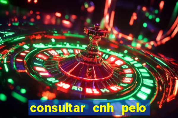 consultar cnh pelo cpf sp